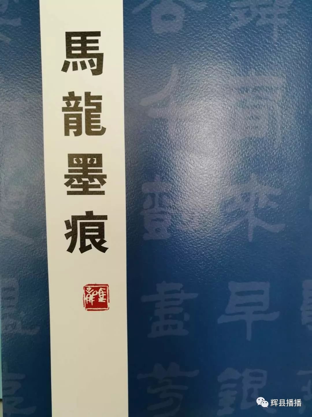 名家专访马龙辉县德艺双馨的书画家