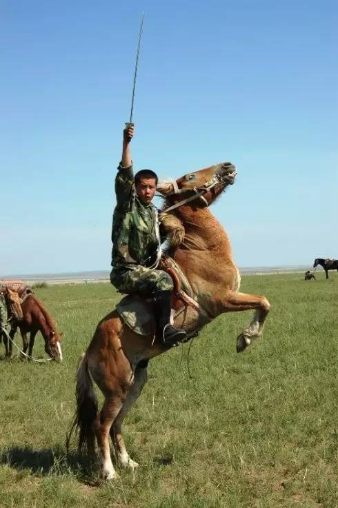 中国最后的骑兵部队 就在锡林郭勒草原 太酷了