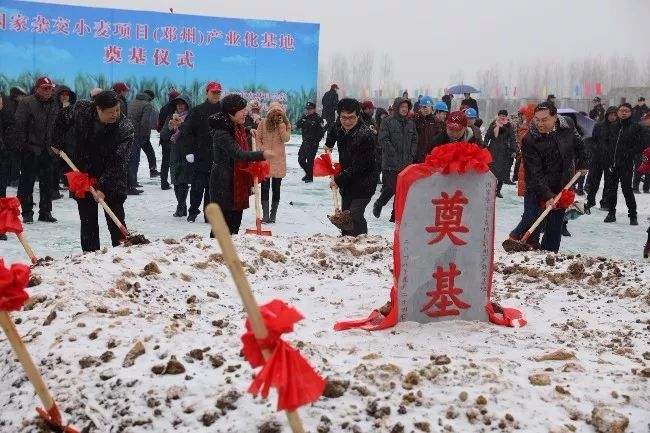 院士|袁隆平把补贴石油的钱补贴农民|邓州杂交小麦产业化基地奠基