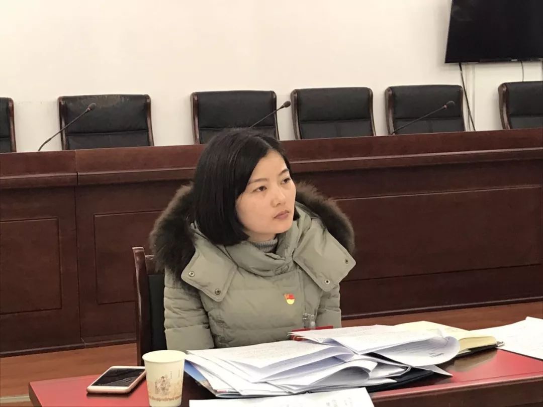 裴梅镇代表团组织讨论会审议《政府工作报告》