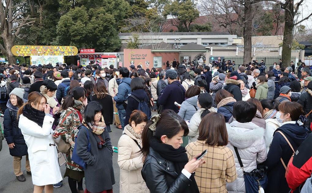 看熊猫的日本人:数百游客凌晨排队