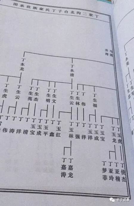 丁家族谱辈分图片