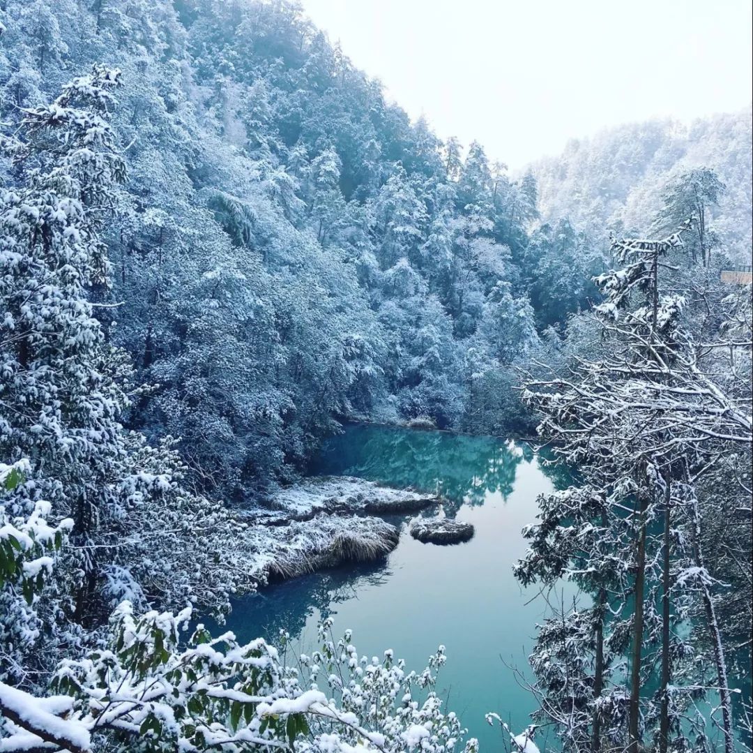 丽水冬季旅游景点图片