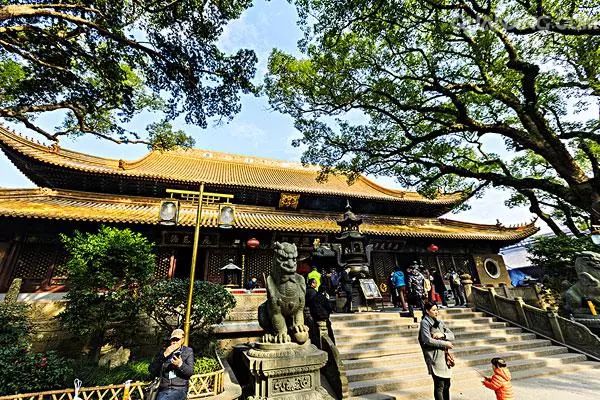 不肯去觀音院紫竹林普濟寺佛頂山南海觀音普陀山風景區行程特色出發