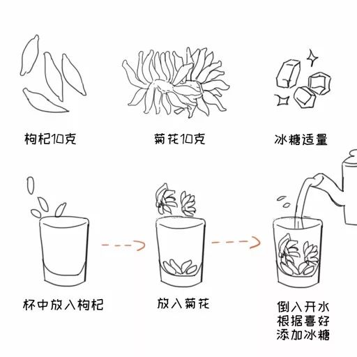 菊花茶简笔画图片