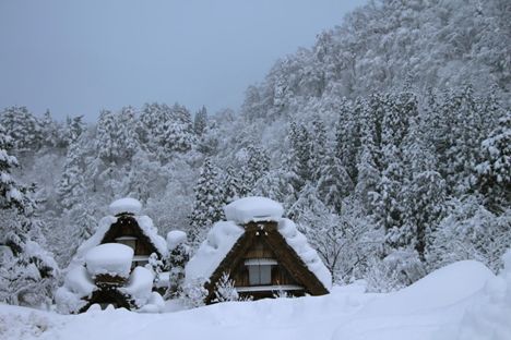 日本隐士古村的灯光俘获世界的心