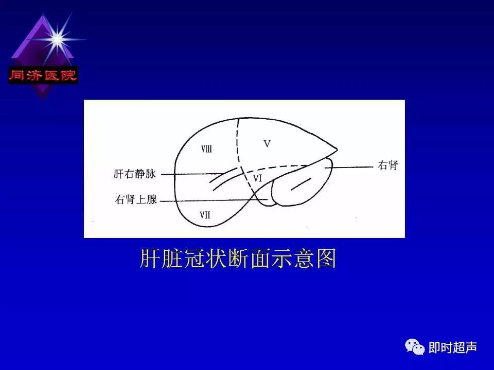 正常肝臟的超聲解剖及侷限病變的超聲診斷