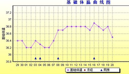 24小时体温变化曲线图图片