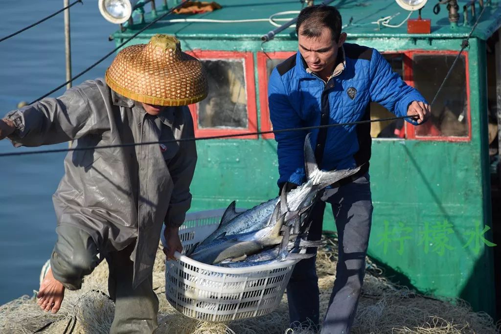 出海抓大鱼喽看看琼海渔民捕到的鱼有多大