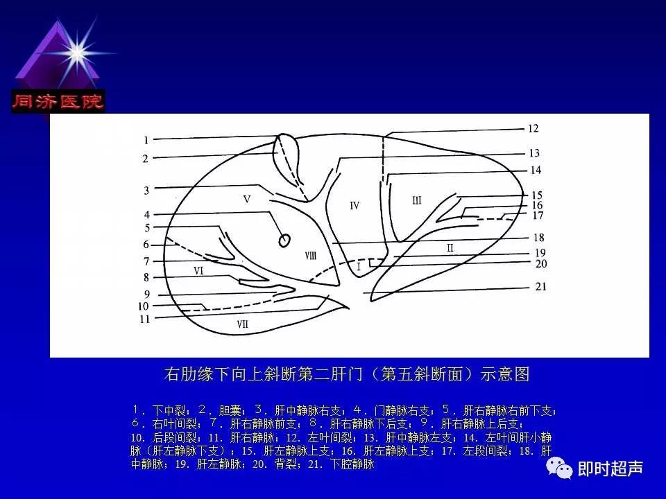 正常肝脏的超声解剖及局限病变的超声诊断