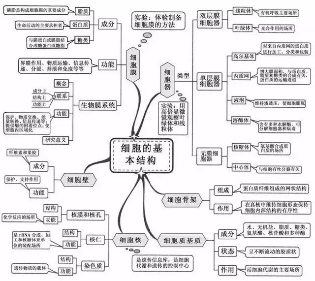 看透高中生物這20張思維導圖生物輕鬆拿高分隨時隨課20180202103257