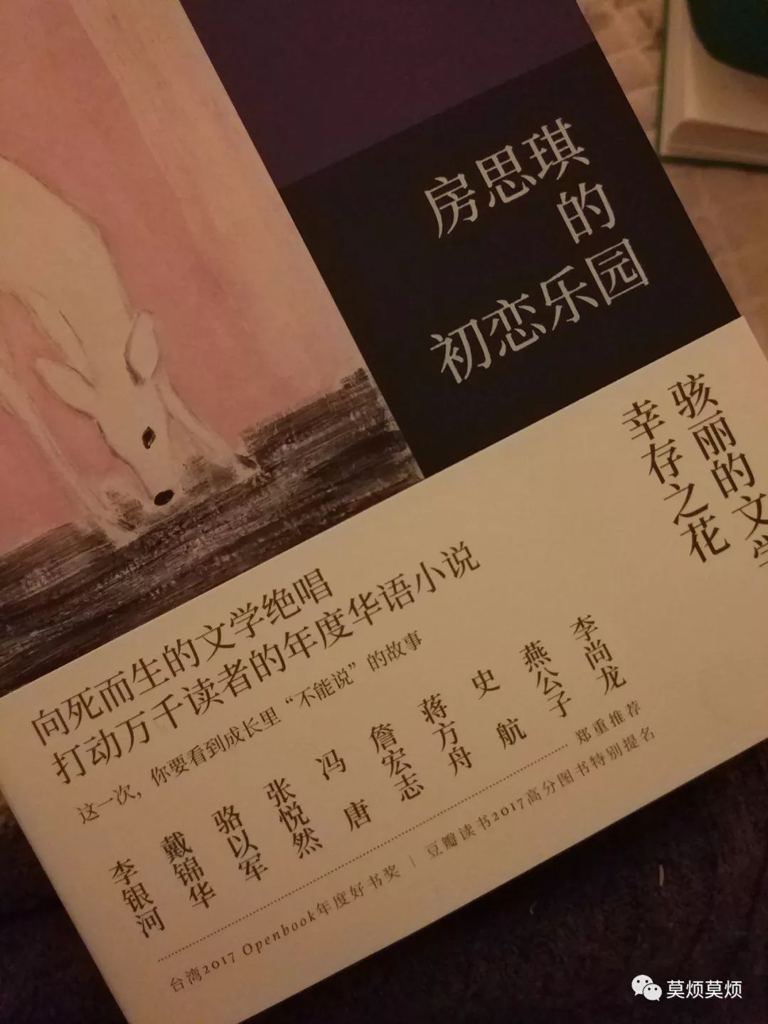 看完《房思琪的初恋乐园,整天都很难受,心里堵得慌.