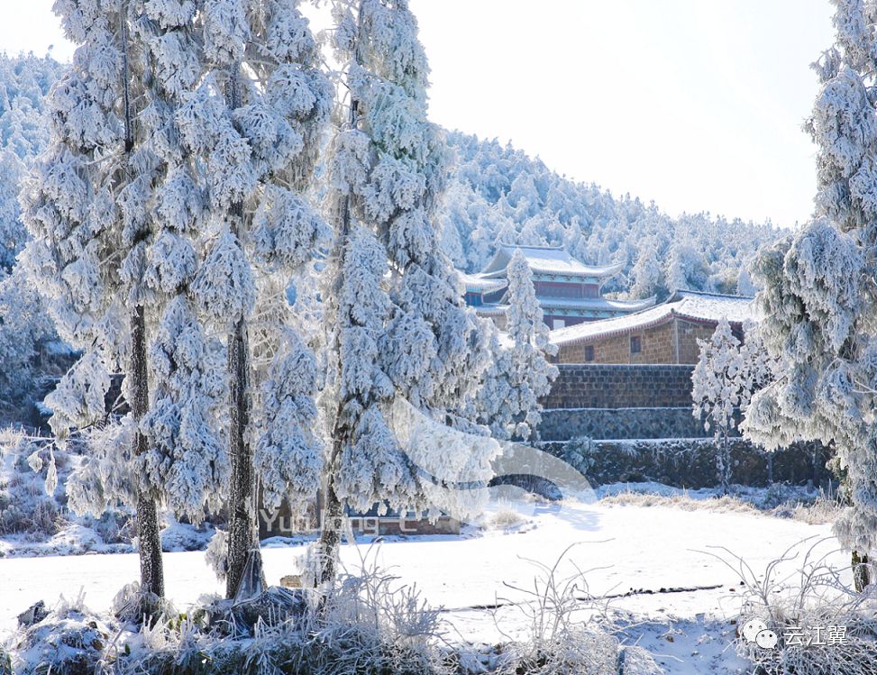 湖岭金鸡山雪景图片