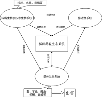 家庭农场示意图图片