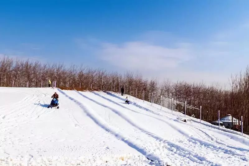 淄博的滑雪场图片