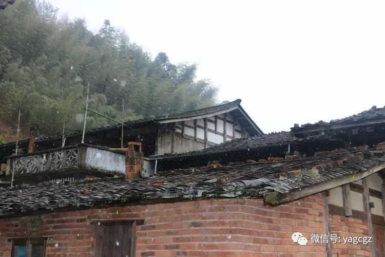 近两日,贡川气温较低,位于高海拔的贡川张荆,洋峰,双峰等村庄下起了