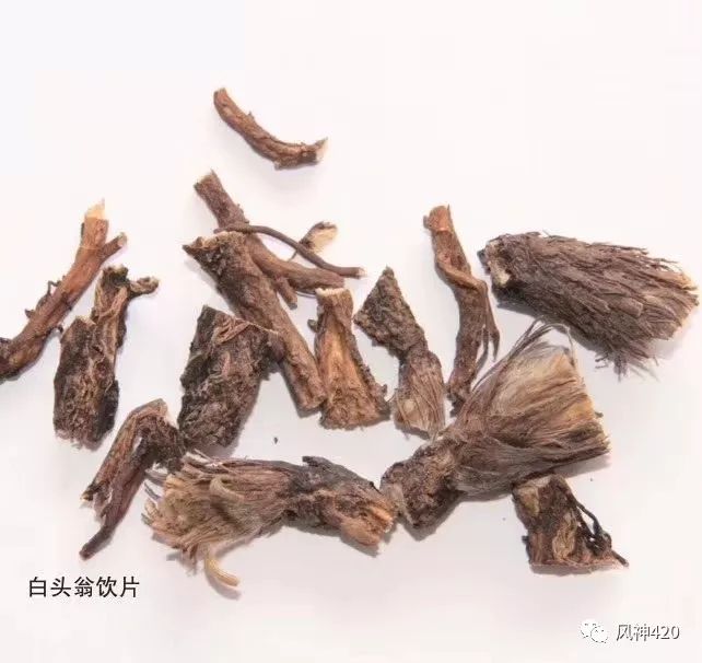 白头翁中药材中医世家图片