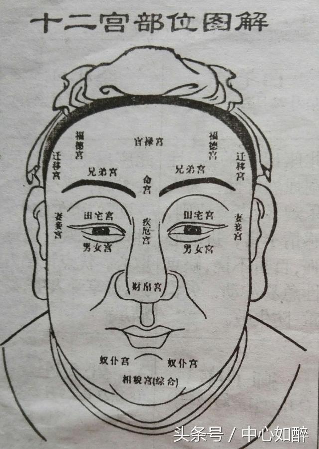 面相纹路分析图片