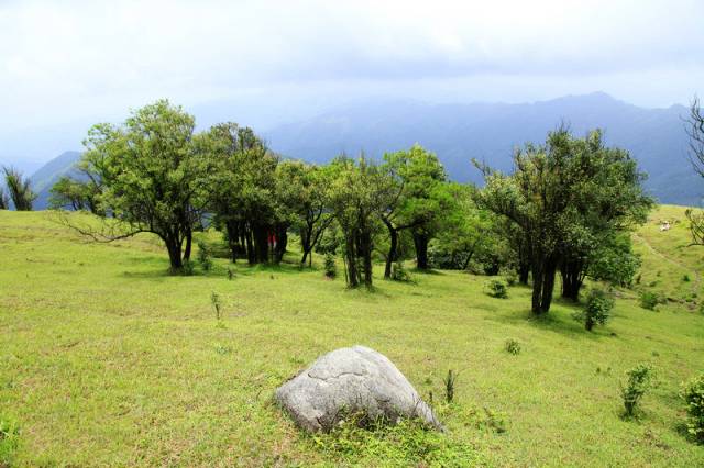 羅定八排山大草原2地址:廣東省陽江市陽春市雙滘鎮七星村怎能不使勁的