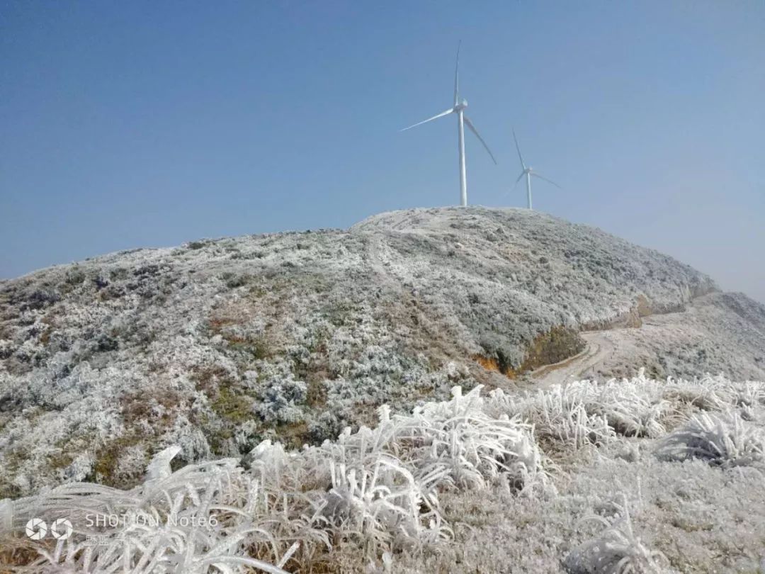 安远九龙山上大雪是怎么样下的?真相在这