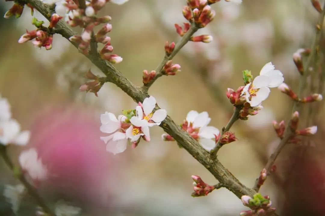 《立春偶成》