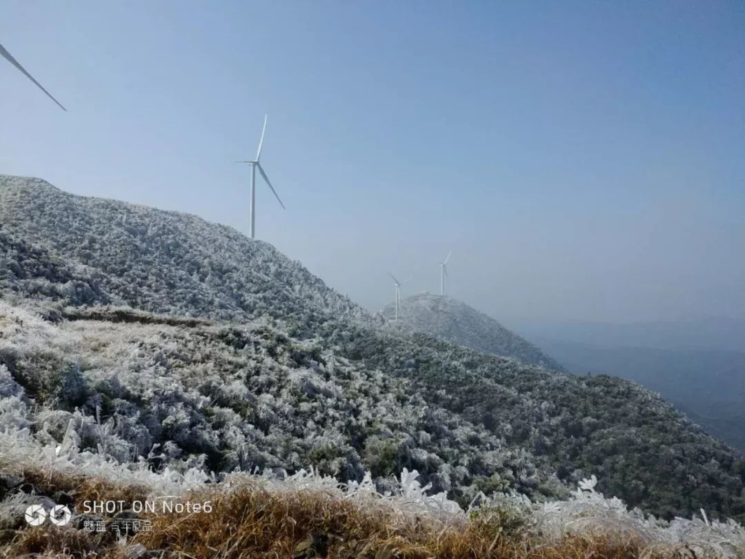 安远九龙山上大雪是怎么样下的?真相在这