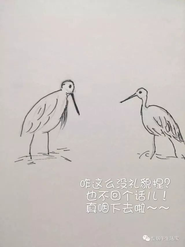 鸬鹚捉鱼简笔画图片