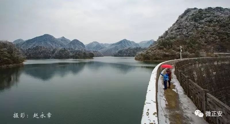 九道水五匯桴焉茶園冰雪pk告訴我你喜歡哪裡