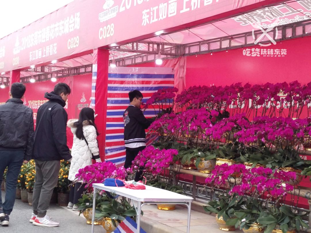 免费领"东城花市"购物券 2018东莞【逛花街】最强攻略,包你狂欢,狂