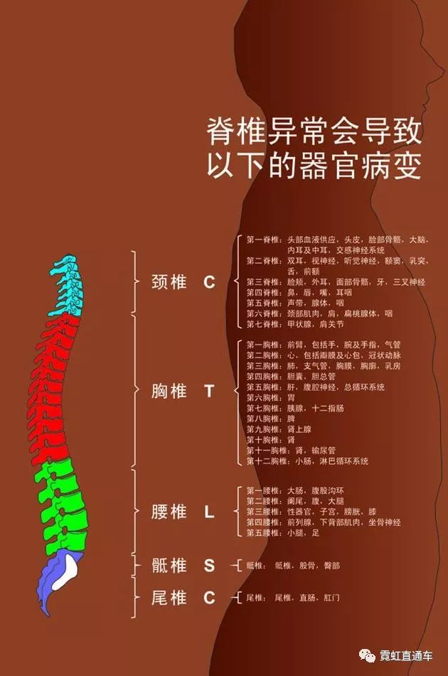 脊柱的健康涉及108种相关病症