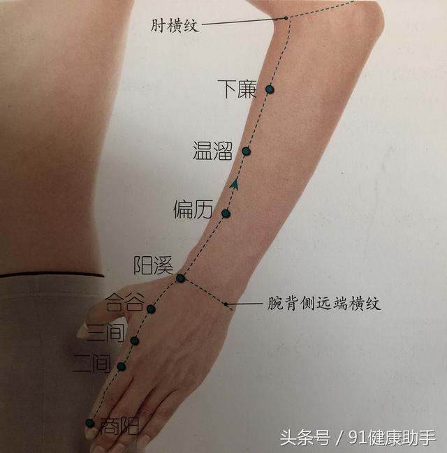 穴位养生耳鸣神经衰弱手臂酸痛按偏历穴清热利尿通经活络