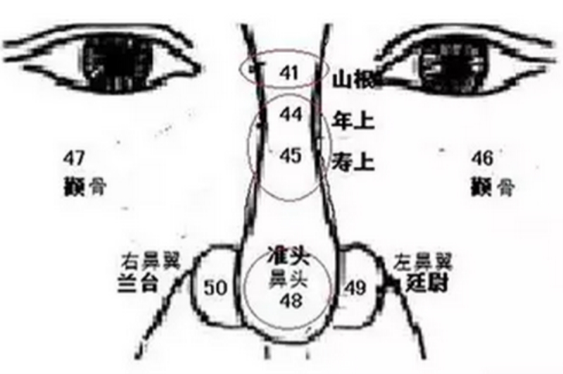 鼻翼沟很深面相图片