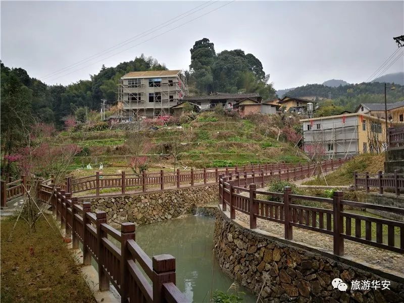 清爽华安丨高安坪水乡村旅游建设如火如荼