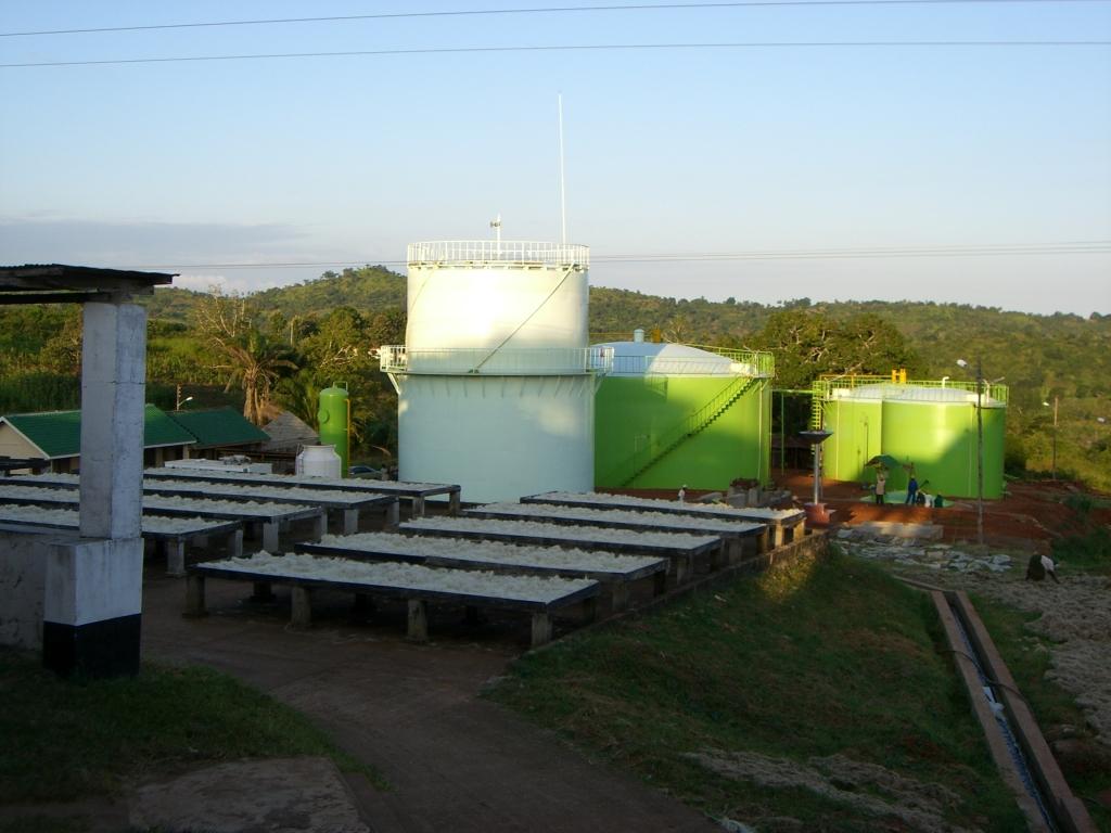 坦桑尼亚剑麻废弃物沼气发电工程项目介绍:剑麻是一种硬质纤维原料