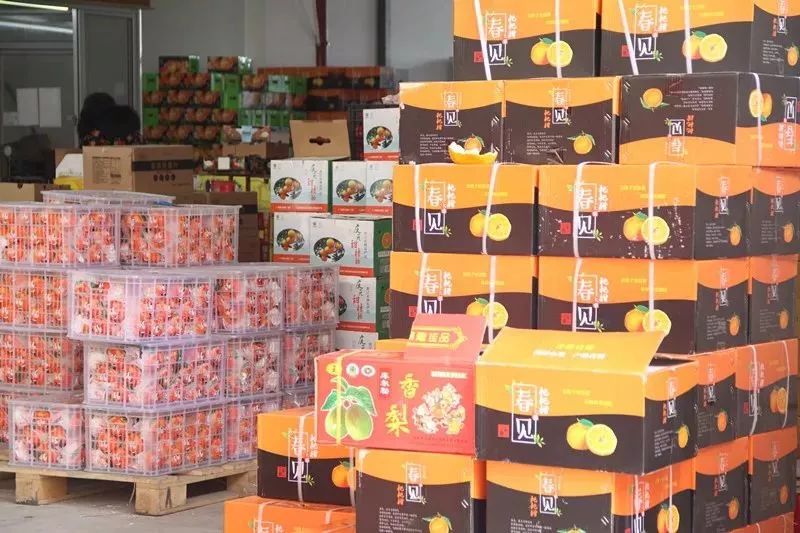 这里成箱水果堆成山!上万水果堆成的台州鲜果乐园,节前盛宴再升级!