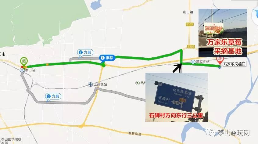 沿泰新路至邱家店镇中心卫生院向北一公里十字路口向东三公里东盛农业