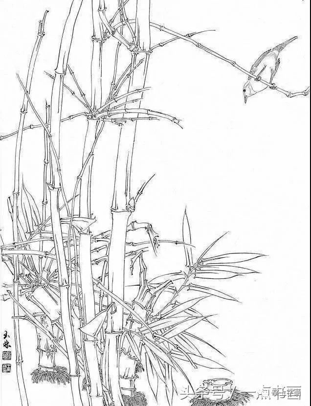 素描竹子 精微图片