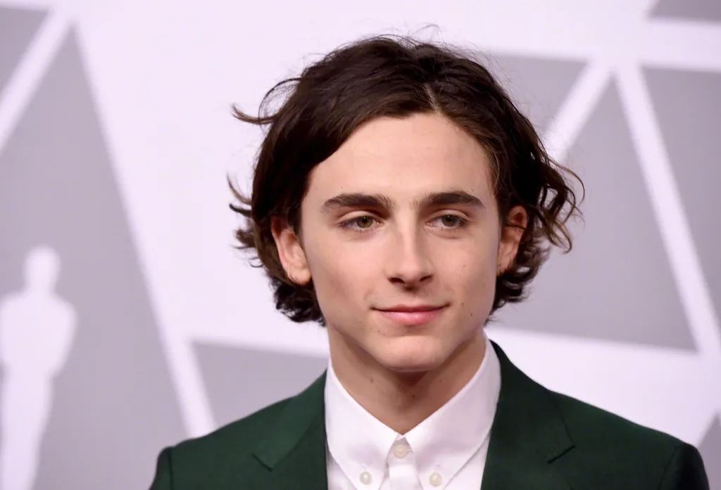 (timothée chalamet)