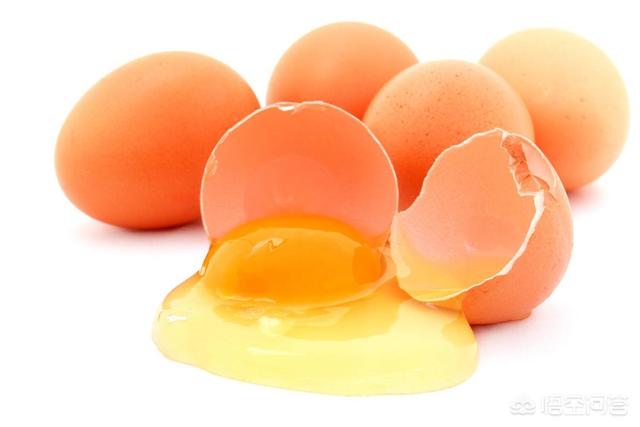 高血压可以吃鸡蛋吗图片