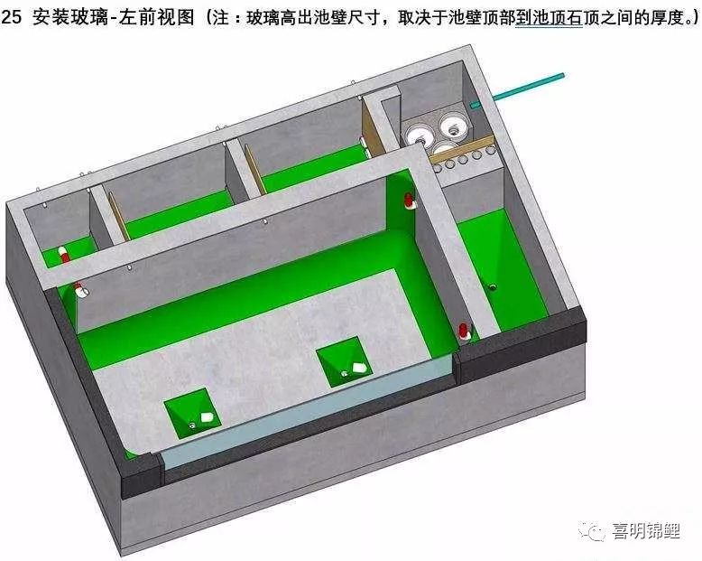 三維錦鯉魚池建造步序圖魚友魚池過濾必讀