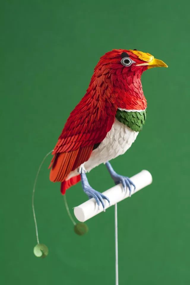 印度尼西亚峇里岛,极度濒危,极度稀有的濒危品种此次「鸟语花香﹕纸雕