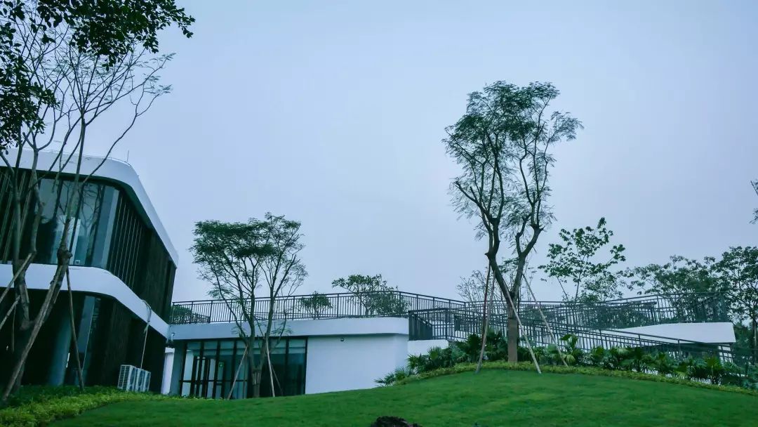 如果順峰山公園會說話|怪我過分美麗,把蛙崽崽都吸引來了