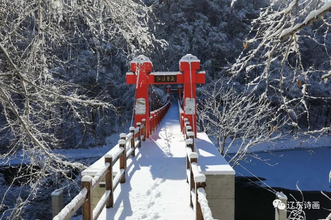 這是雪鄉!清原的冬天,美的讓人窒息.