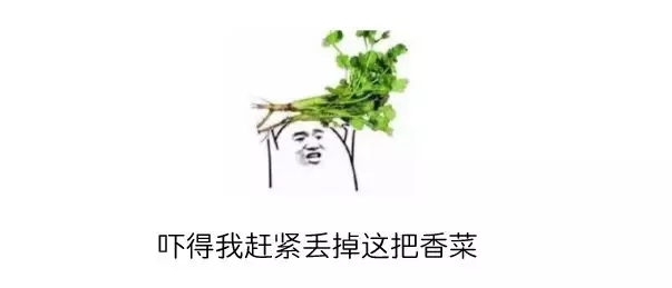 讨厌香菜表情包图片