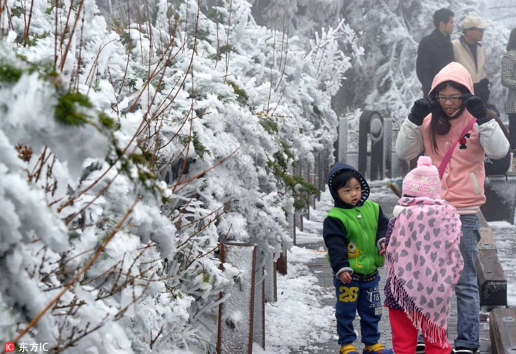 台湾也下雪了 这个冬天去台湾看雪赏梅吧