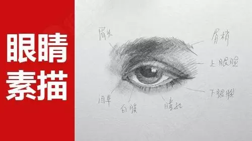 畫素描頭像五官真的特別重要