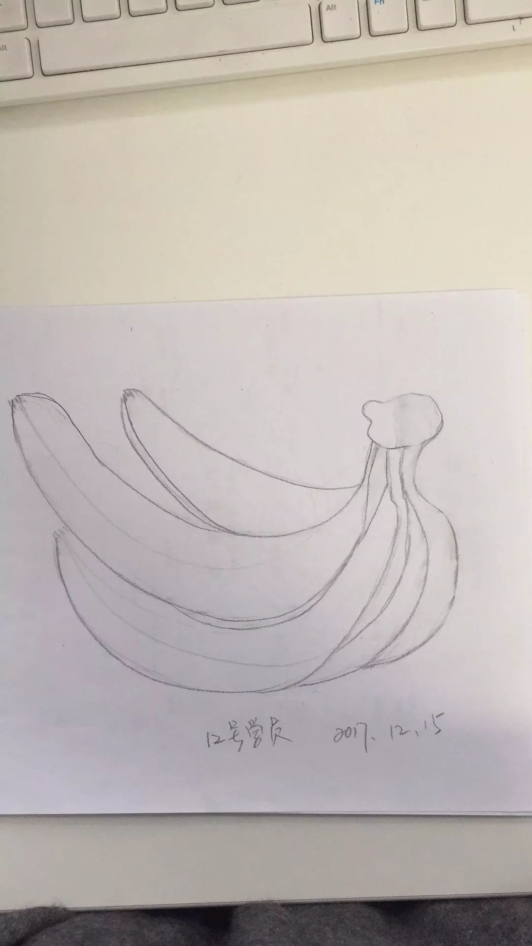 甜瓜素描图片