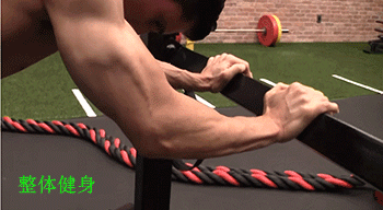 器械运动锻炼肱三头肌视频-第2张图片-678体育知识