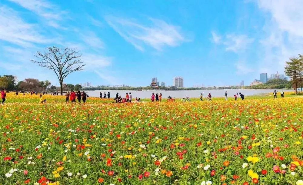 如果順峰山公園會說話|怪我過分美麗,把蛙崽崽都吸引來了