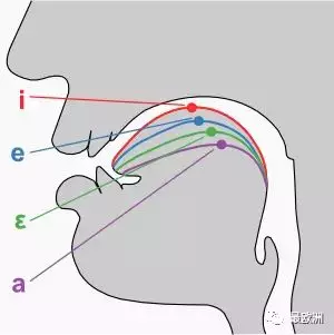 唱歌口腔状态图解图片